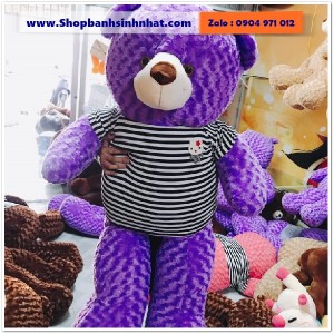 Gấu Bông Teddy Hàn Quốc - GAU83